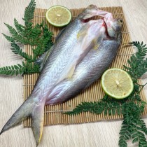 【東港張媽媽私房菜】外銷日本一夜干 - 蝴蝶切午仔魚 200±10%/尾